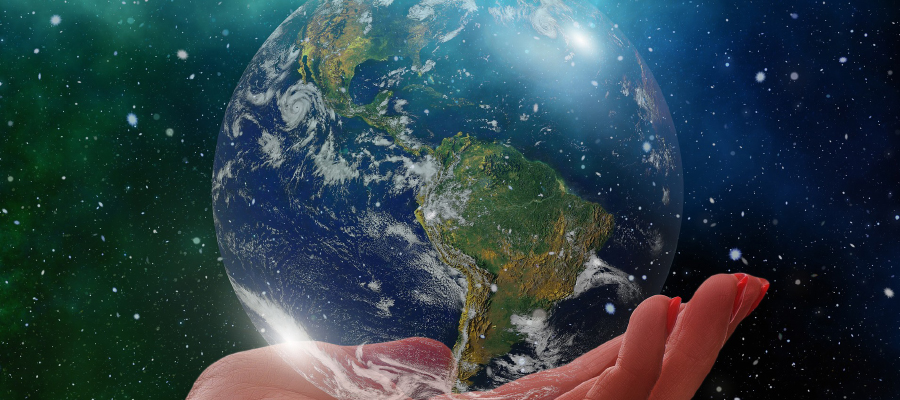Environmental sustainability 900×400